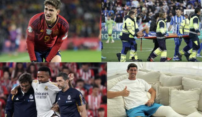 年老鹰的辉 年老鹰的辉